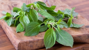 Thai ingredients